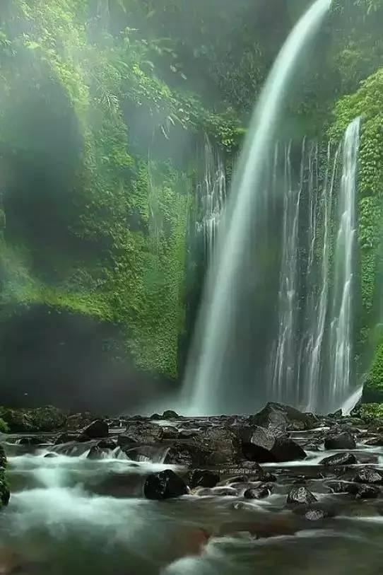救援瓢虫宝宝