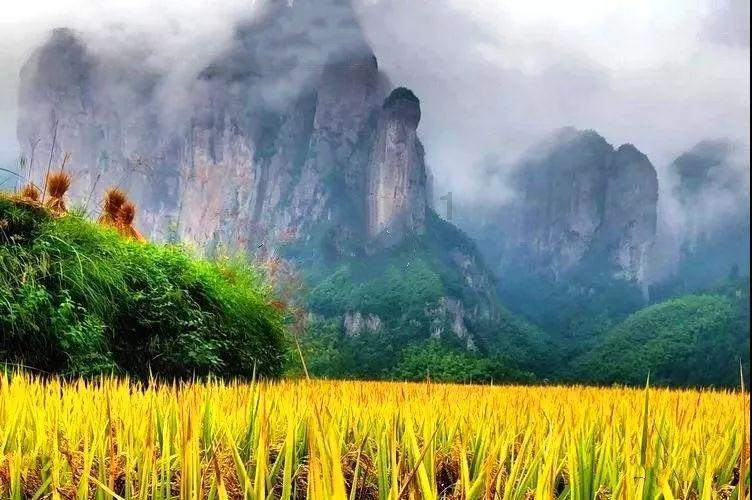 超能战区