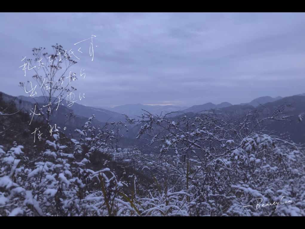 救援卡通小象