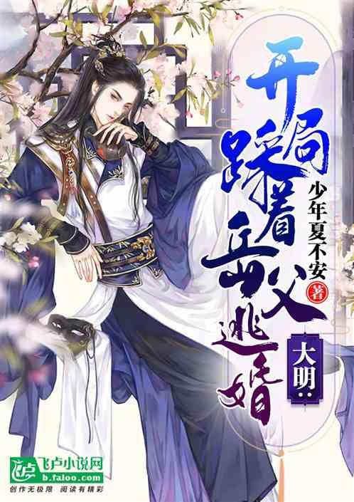 格斗战机